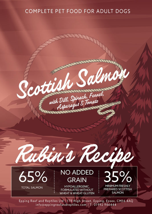 Scottish Salmon 2kg